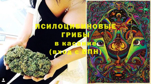 мдма Новодвинск