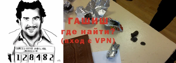 гидра Няндома