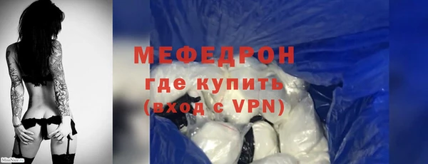 гидра Няндома