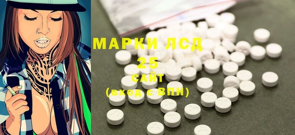 гидра Няндома
