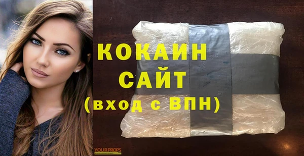 гидра Новозыбков