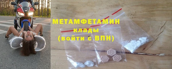гидра Няндома