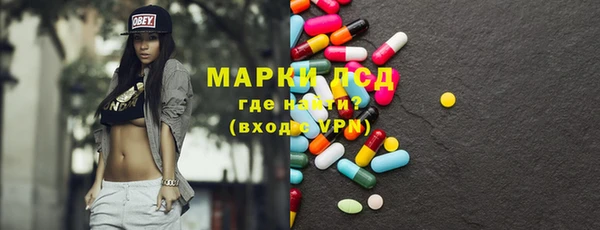 гидра Няндома