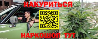 гидра Бийск