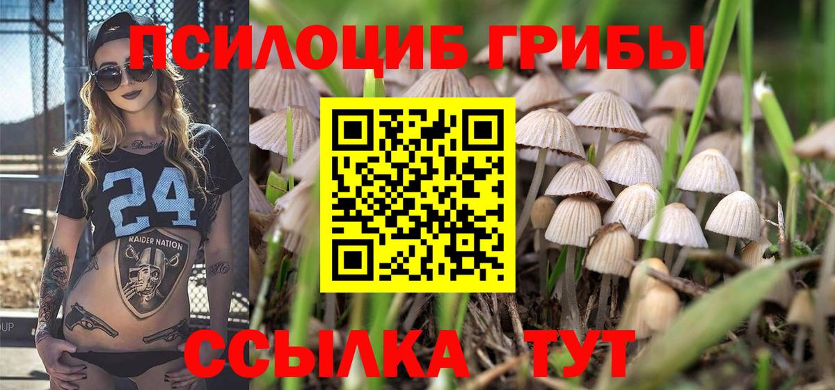 Мегион  Галлюциногенные грибы Cubensis  Вход с VPN 